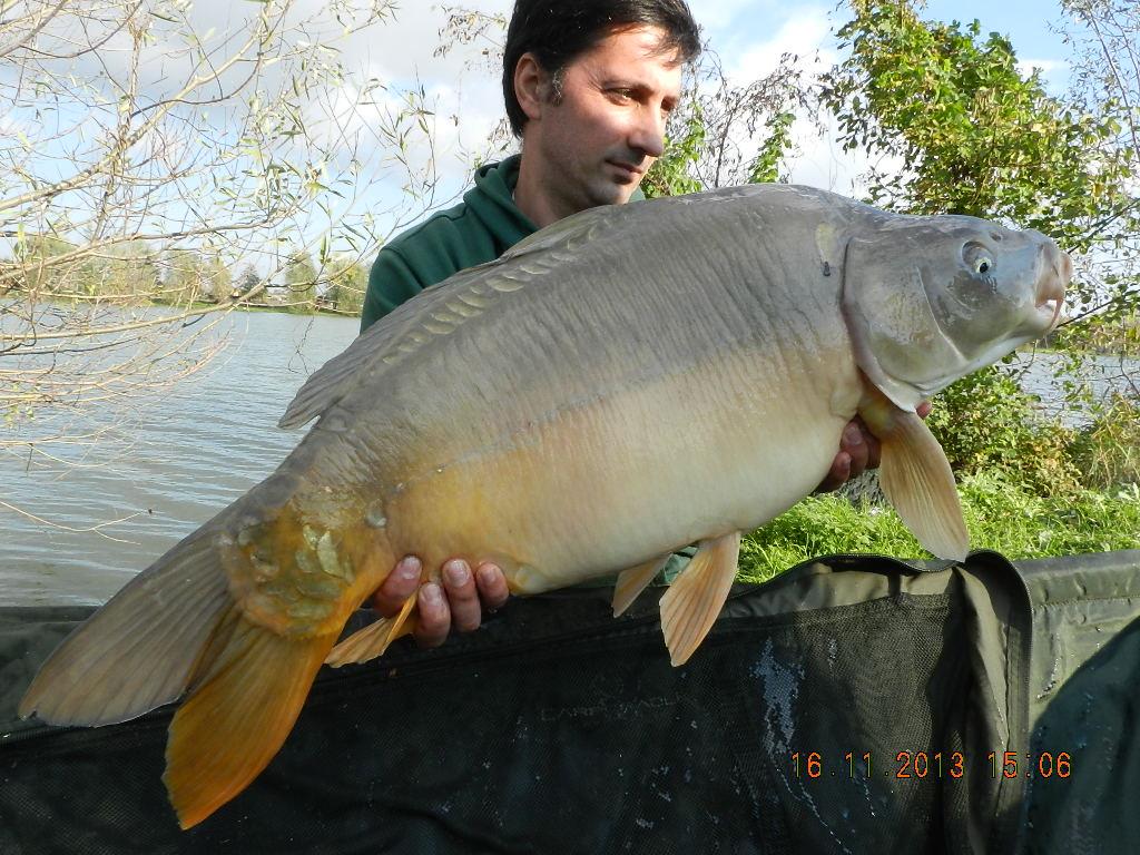 15 noiembrie 2013 - dscn1774.JPG